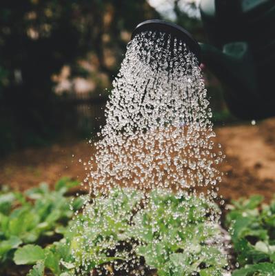 Limitazioni dell’acqua per usi extradomestici foto 