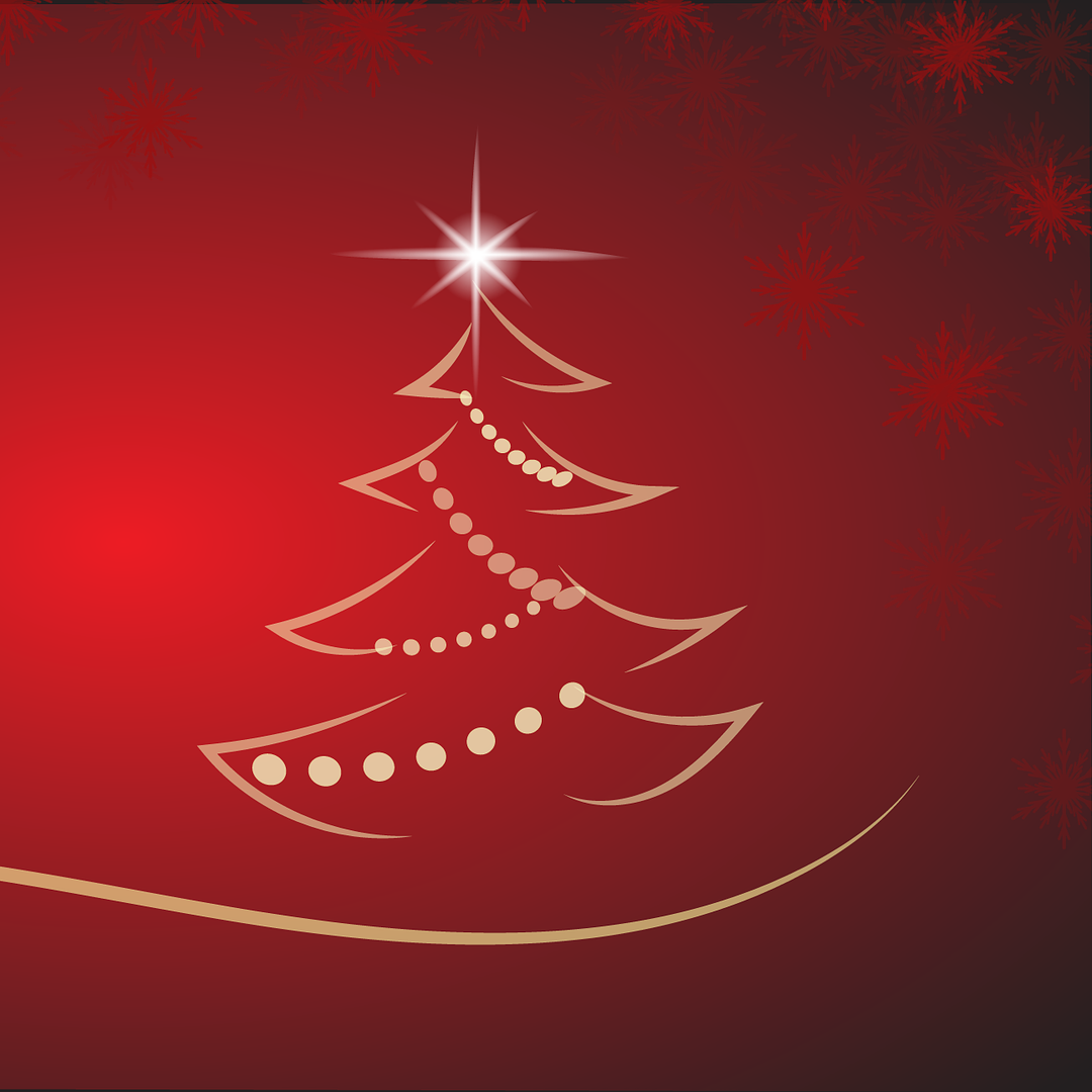Gli eventi in programma  per vivere la magica atmosfera del Natale  foto 