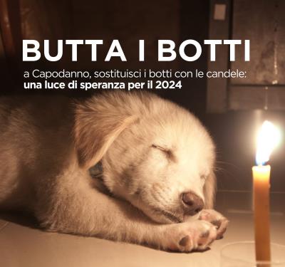A Capodanno butta i botti! foto 