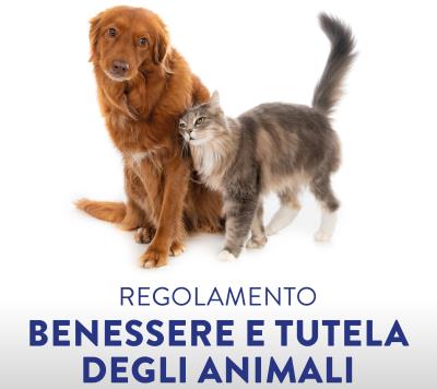 Regolamento per il Benessere e la Tutela degli Animali foto 